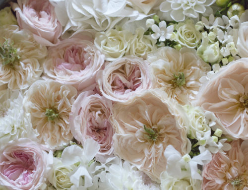 Madama Fiori di Bergamo, realizzerà gli allestimenti floreali di un matrimonio vip in Salento